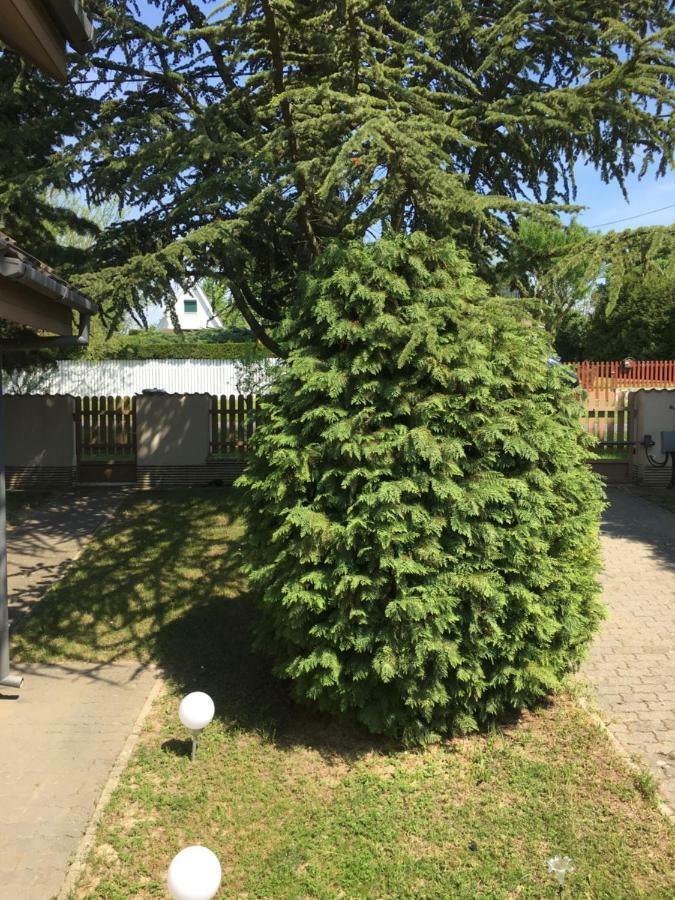 Andre & Moni Apartman Balatongyörök Kültér fotó
